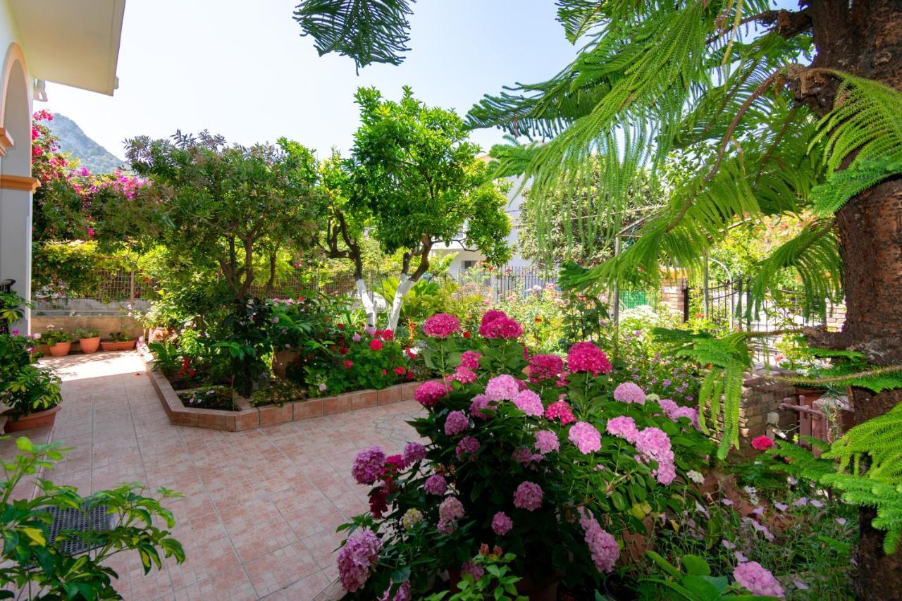 Villa Sophia Apartments By Corfuescapes Agios Gordios  Exterior photo